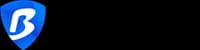 BitBrowser logo, antidetect browser that works with FleetProxy proxies